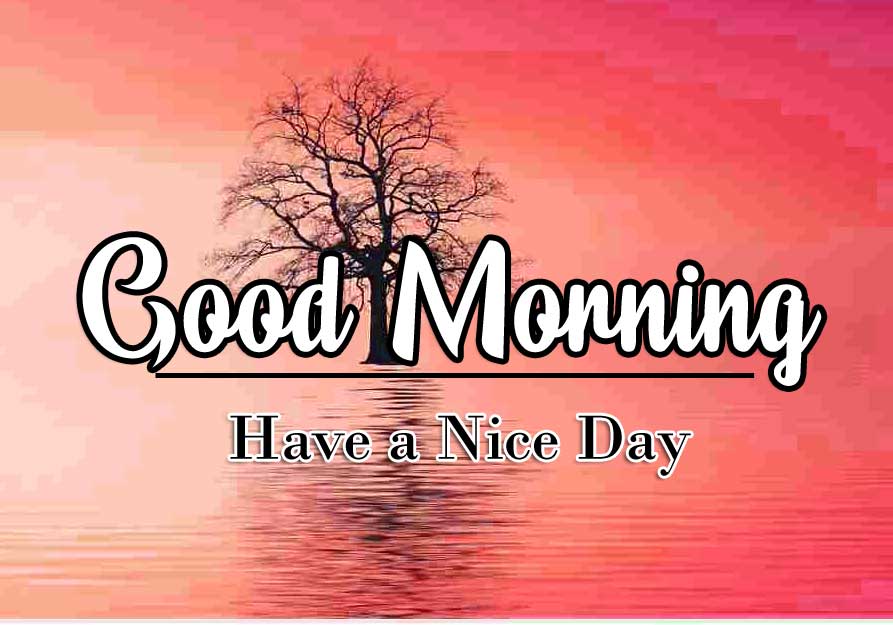 Good Morning Wishes Wallpaper Free Download 