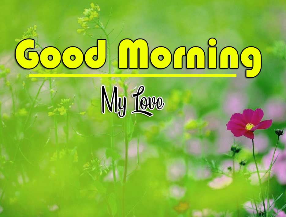 Latest Free Good Morning Wishes Wallpaper Pics Download 
