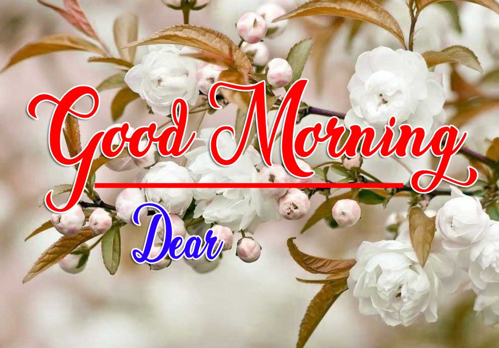 Good Morning Wishes Pics Download 