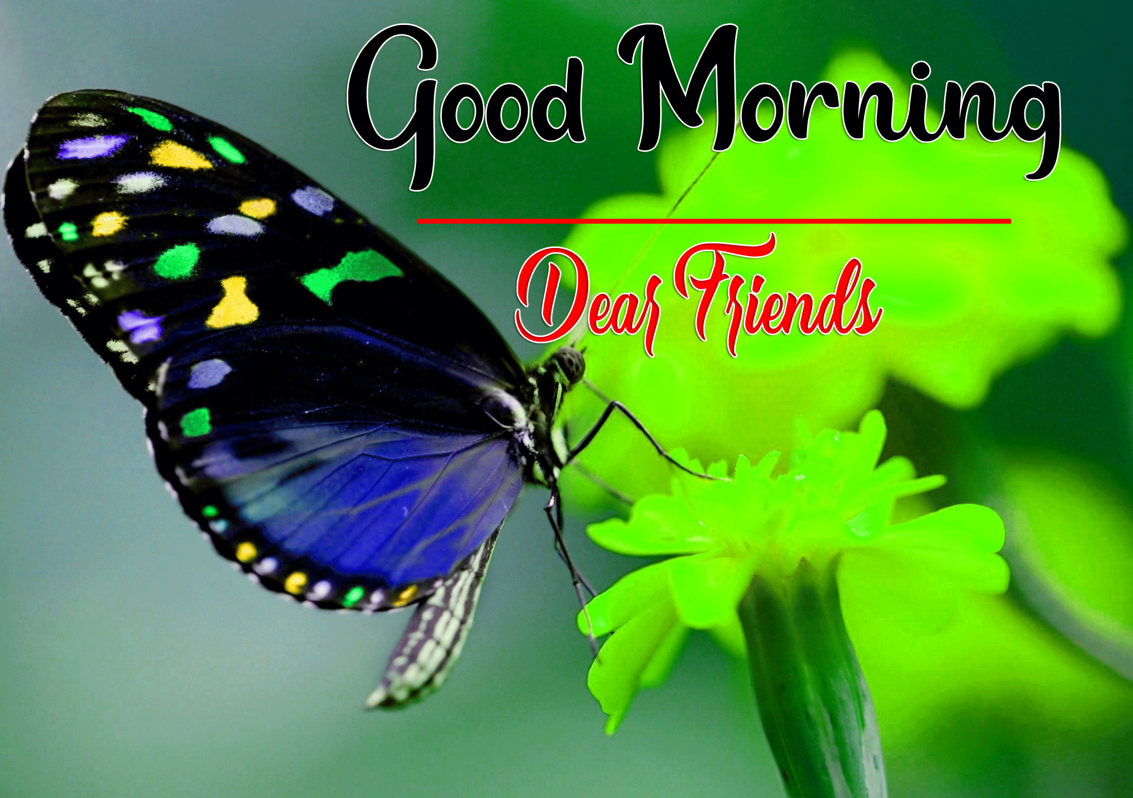 Good Morning Wishes Images HD 1080p 11