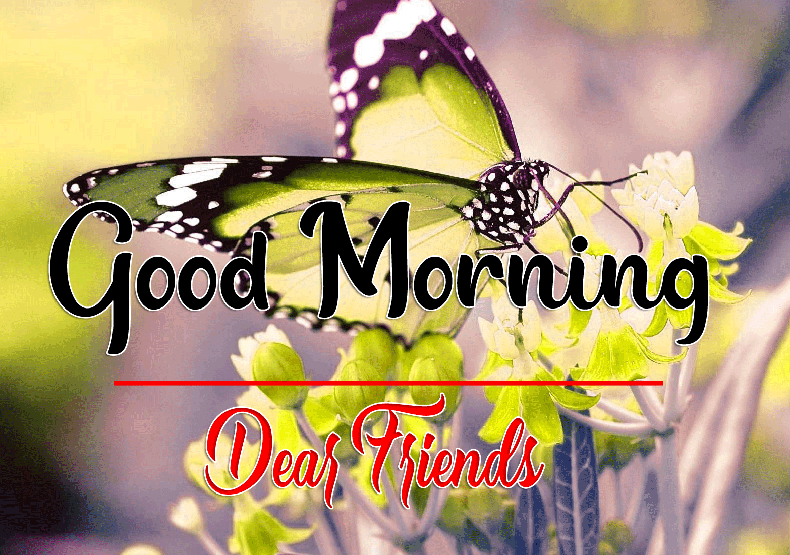 Good Morning Wishes Images HD 1080p 13