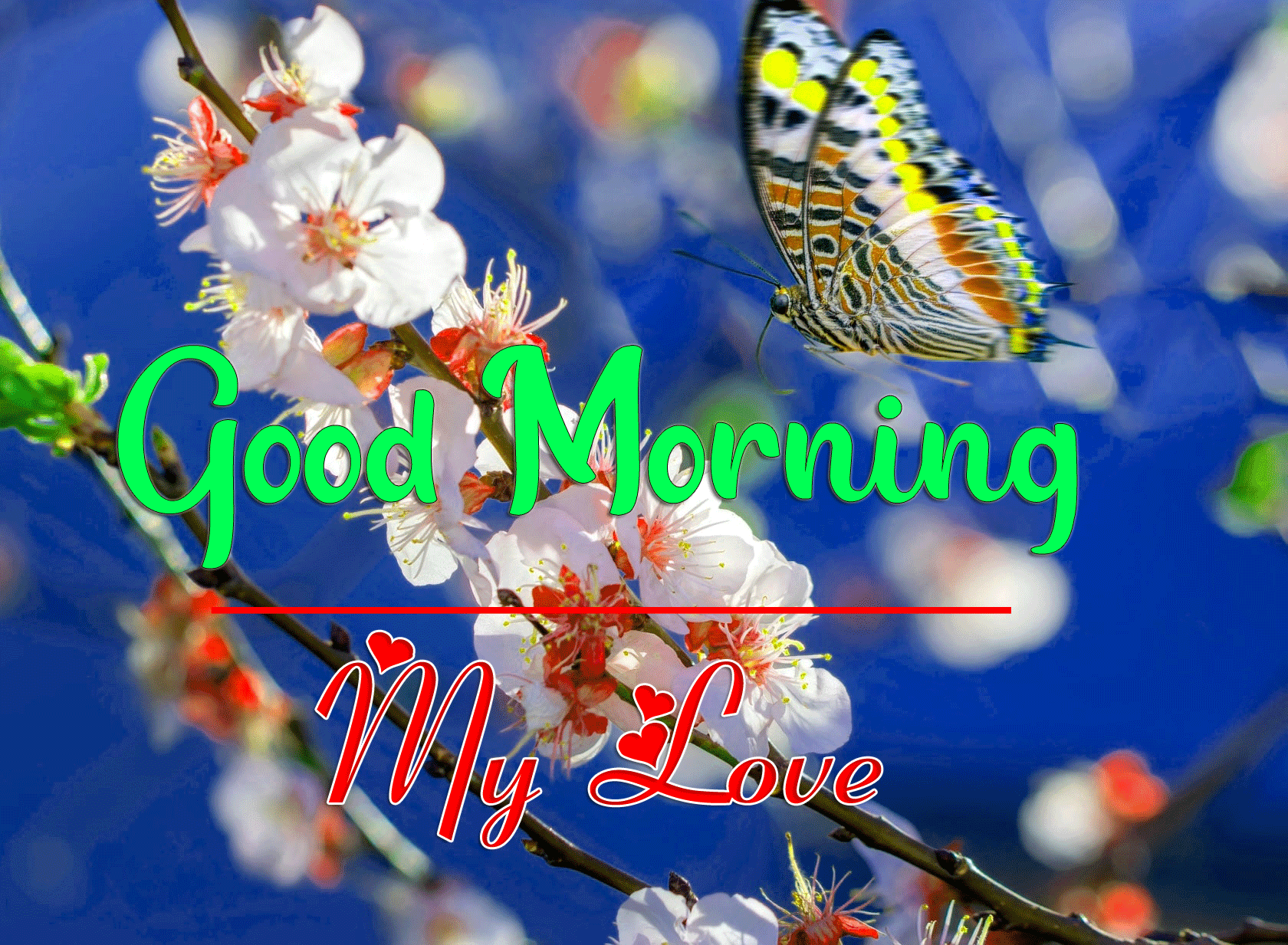 Good Morning Wishes Images HD 1080p 17
