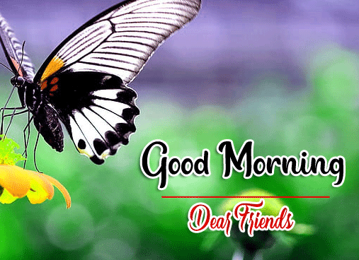 Good Morning Wishes Images HD 1080p 19