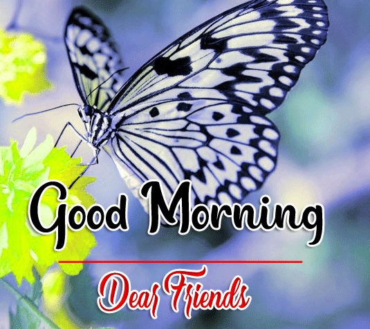 Good Morning Wishes Images HD 1080p 24