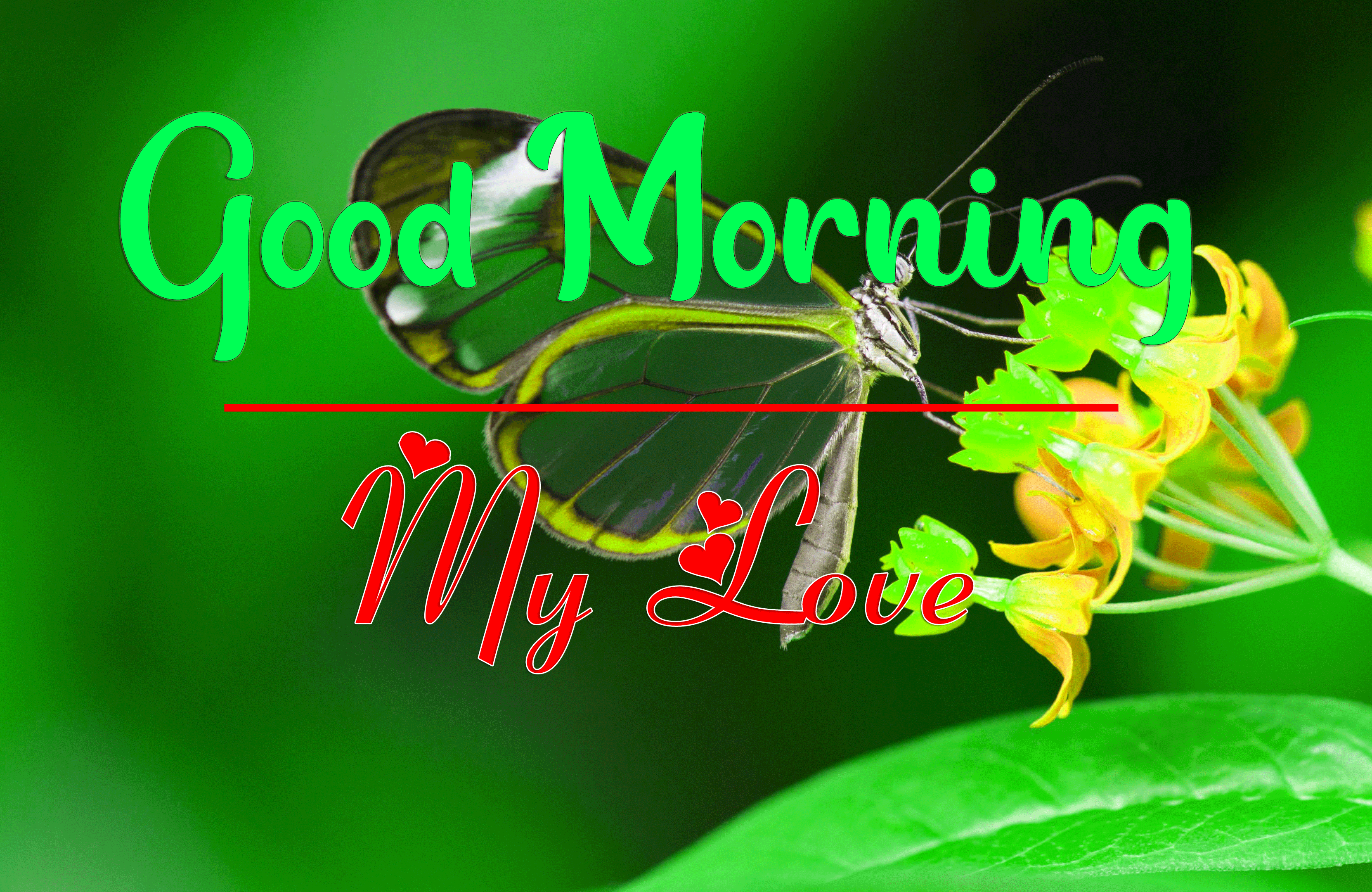 Good Morning Wishes Images HD 1080p 27