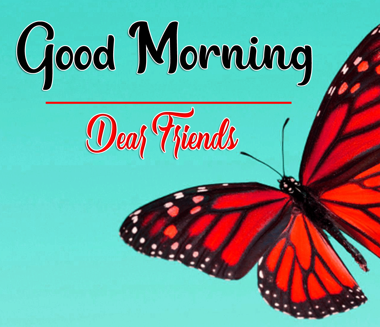 Good Morning Wishes Images HD 1080p 3