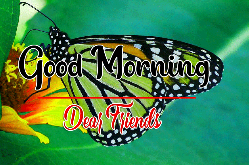 Good Morning Wishes Images HD 1080p 31