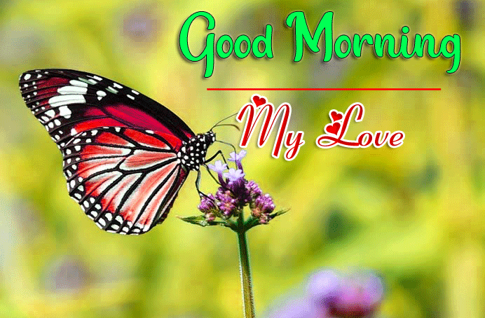 Good Morning Wishes Images HD 1080p 4