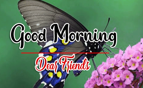 Good Morning Wishes Images HD 1080p 41