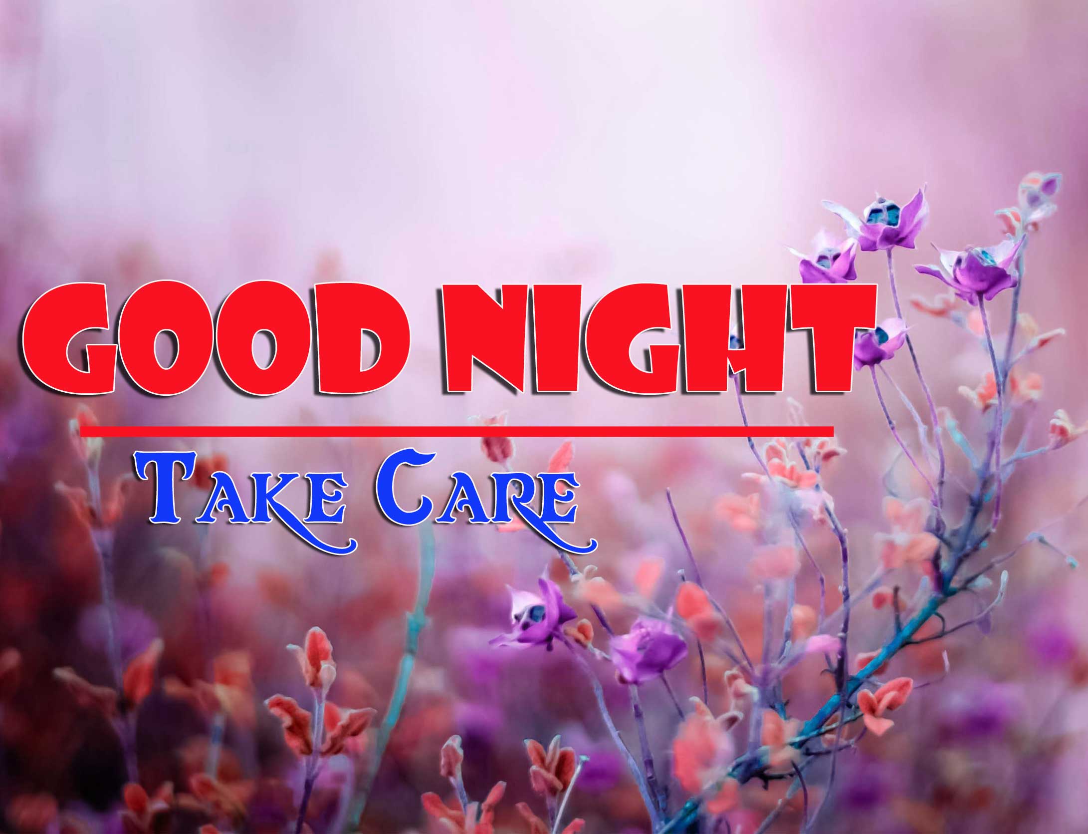Good Night Wishes Images Wallpaper Download 