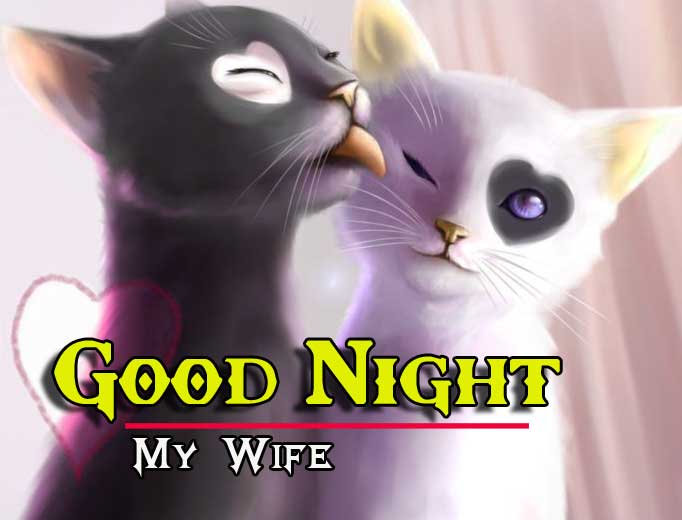Good Night Wishes Images Photo Free Download 