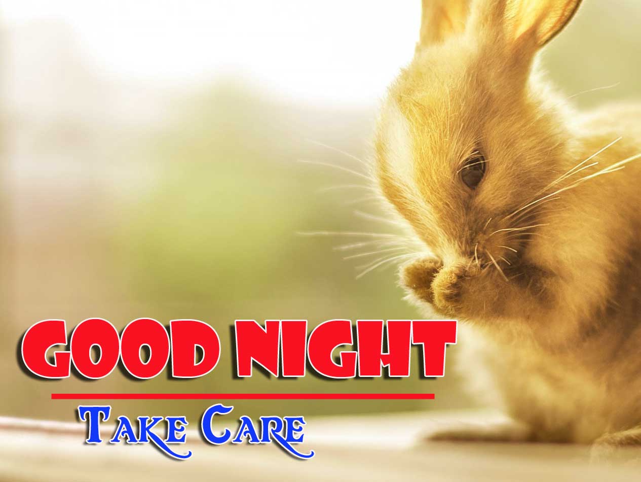 Good Night Wishes Images Pics Free Download 
