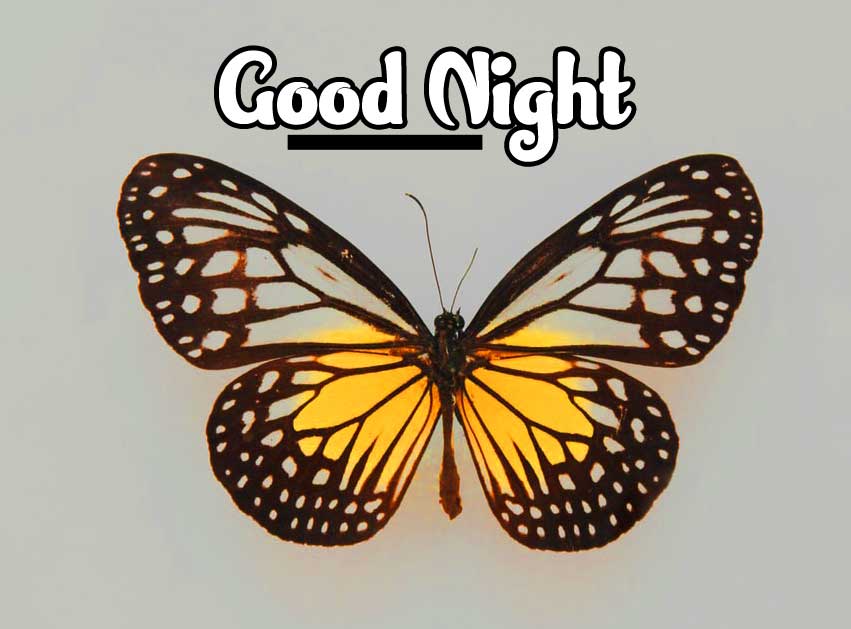 Cute Babies Good Night Images Wallpaper pics Download 