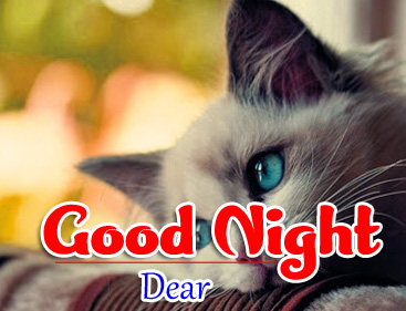 Good Night Whatsapp DP Profile Images Wallpaper pics Download 