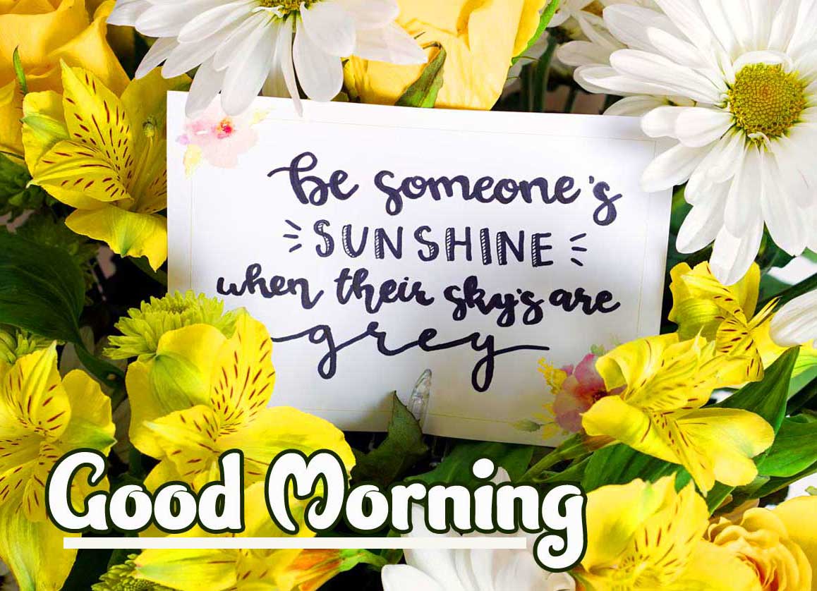 Quotes Good Morning Images Wallpaper Free Download 