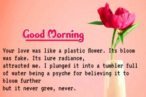 1893+ Good Morning Quotes Images In Hindi HD Download