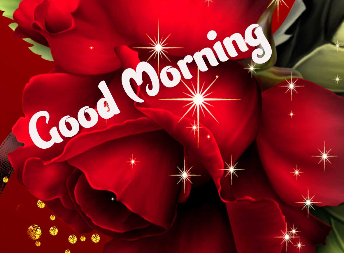 Best Latest Good Morning Images Wallpaper free down Load 
