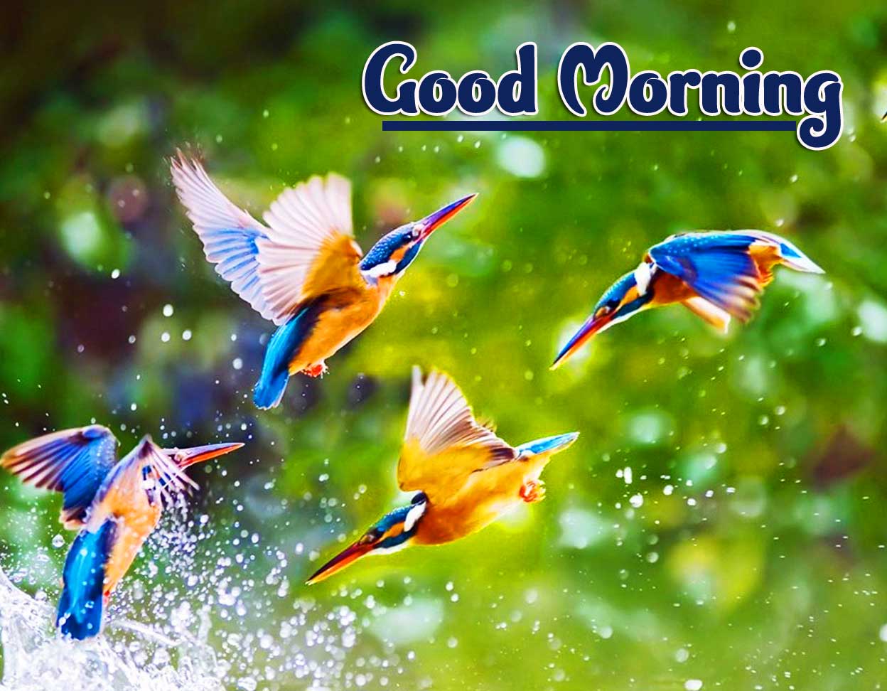 Best Latest Good Morning Images Pics For Facebook 