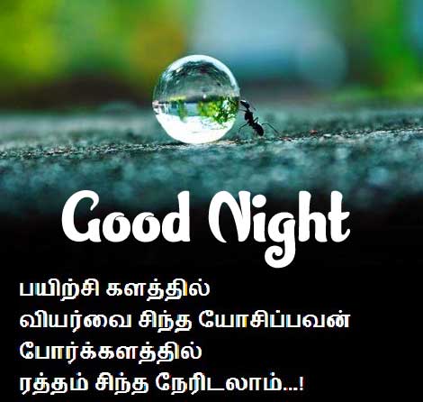  Tamil Good Night Wishes Images Pics Free Download 