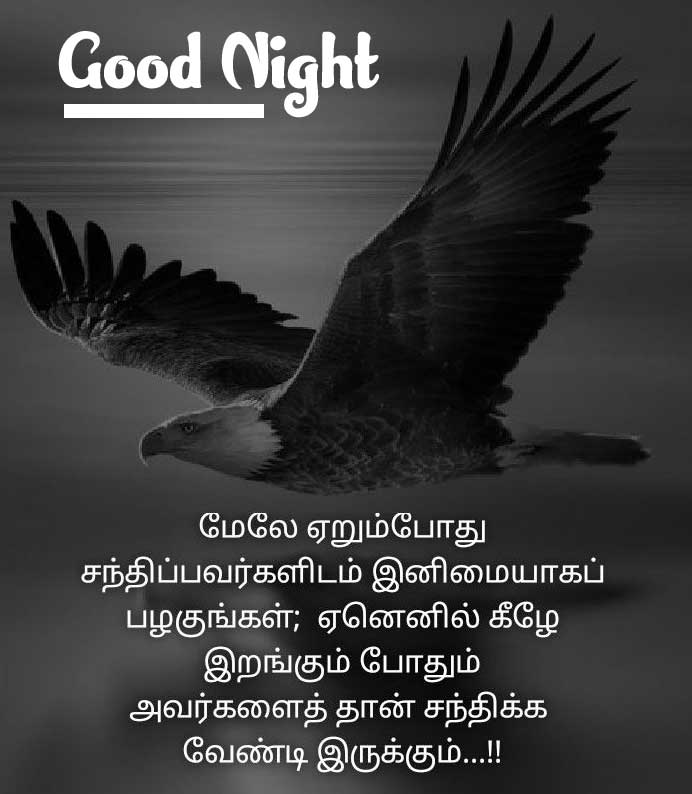  Tamil Good Night Wishes Images Pics Wallpaper Free Download 