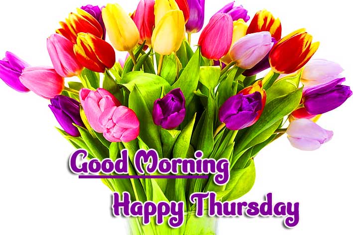 Thursday Good Morning Images Wallpaper Free Download 