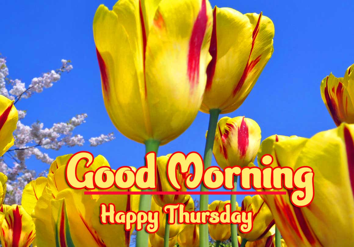 Thursday Good Morning Images Pics Free Download 