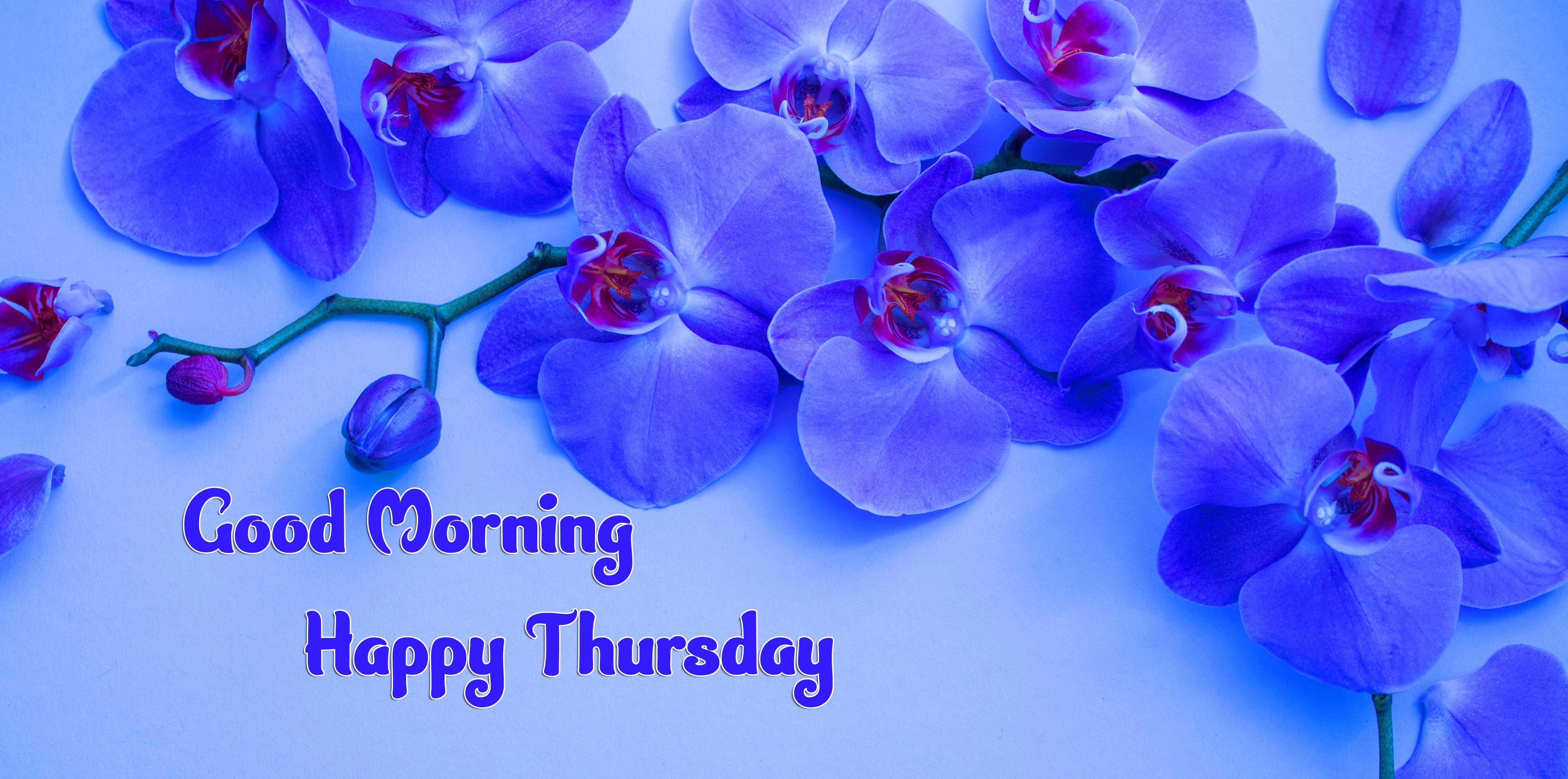 Thursday Good Morning Images Pics Free Download 