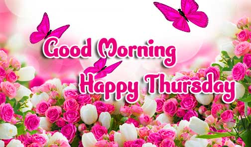 Thursday Good Morning Images Wallpaper Free Download 