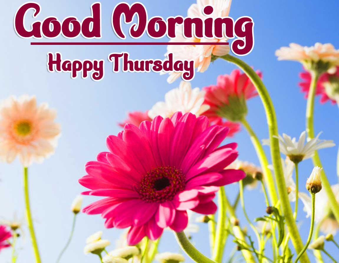 Beautiful Thursday Good Morning Images Pics Download Free 
