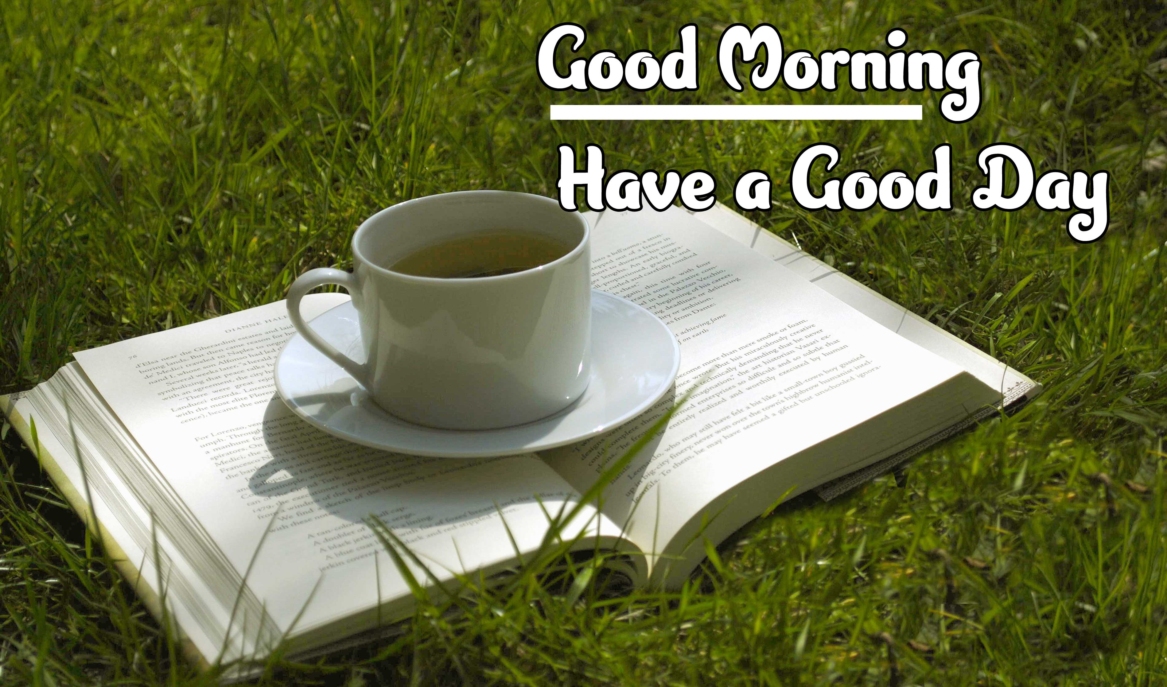 Latest Free Good Morning Images 4K 1080p Pics Wallpaper Download 