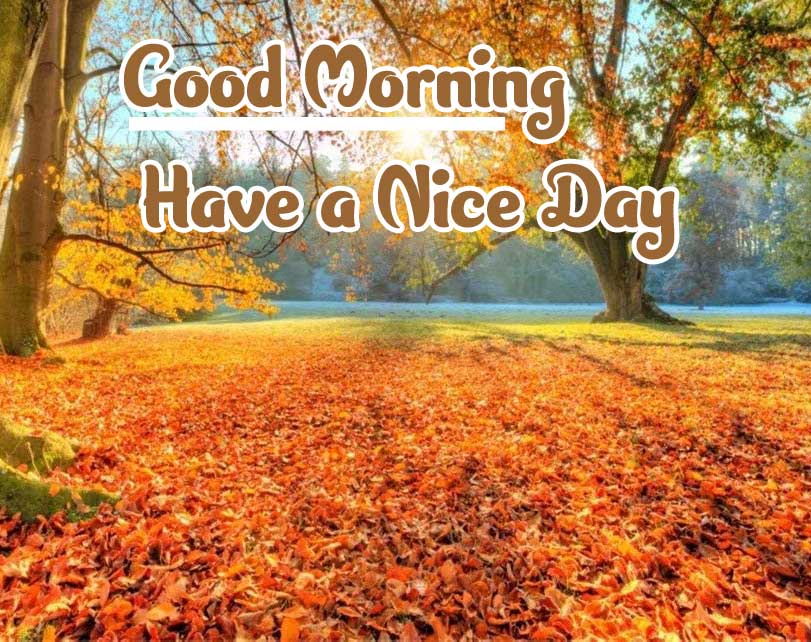 Good Morning Wishes Images 4K 1080p Pics Download 