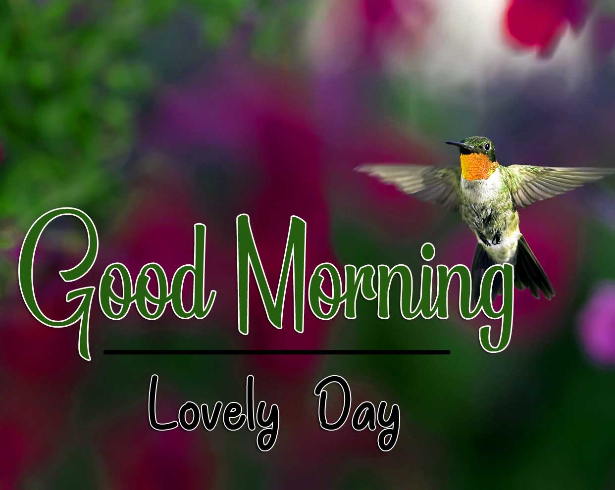 good morning wishes to wife Wallpaper Pics Download 