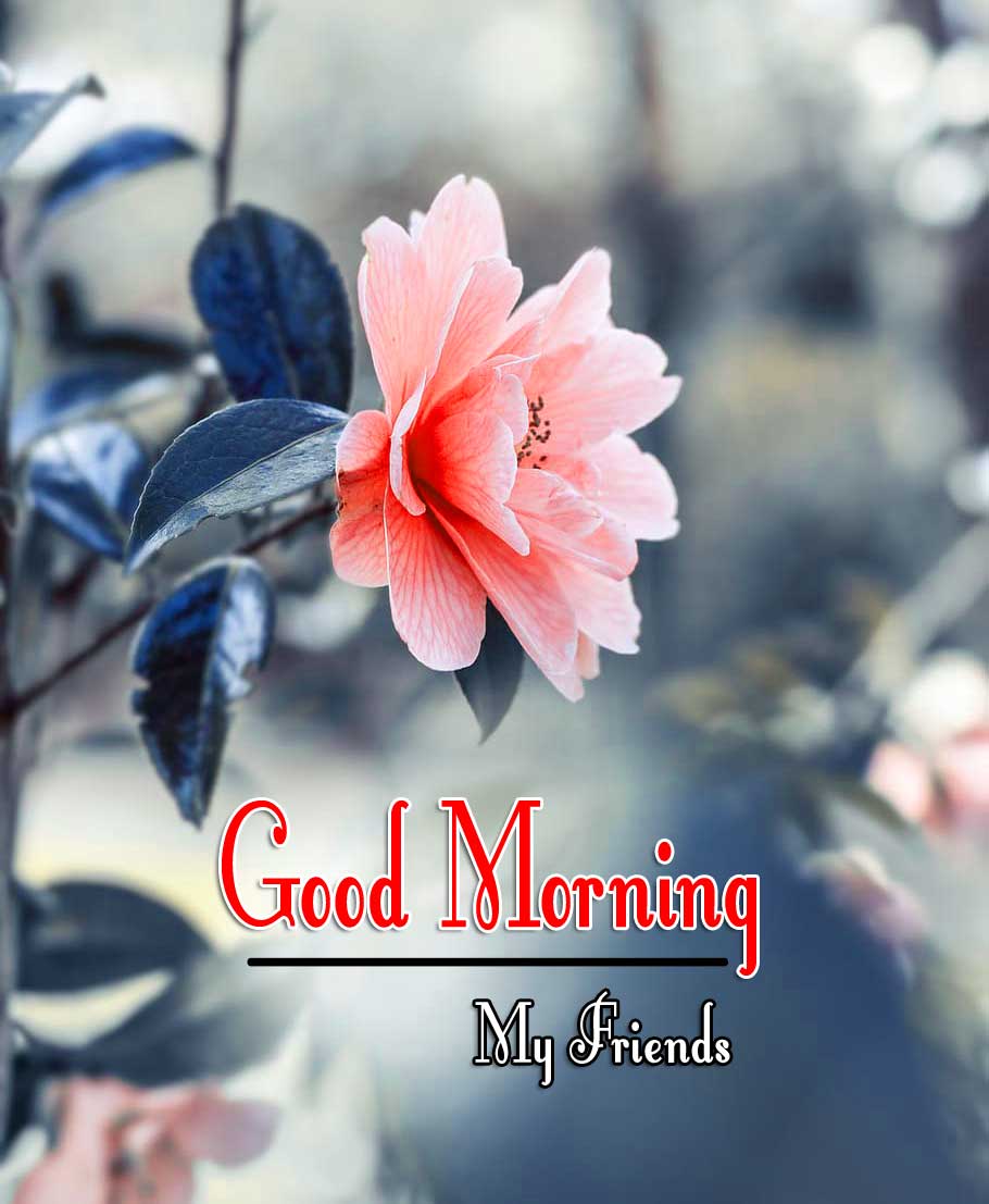 good morning wishes to wife Pics pictures Download 