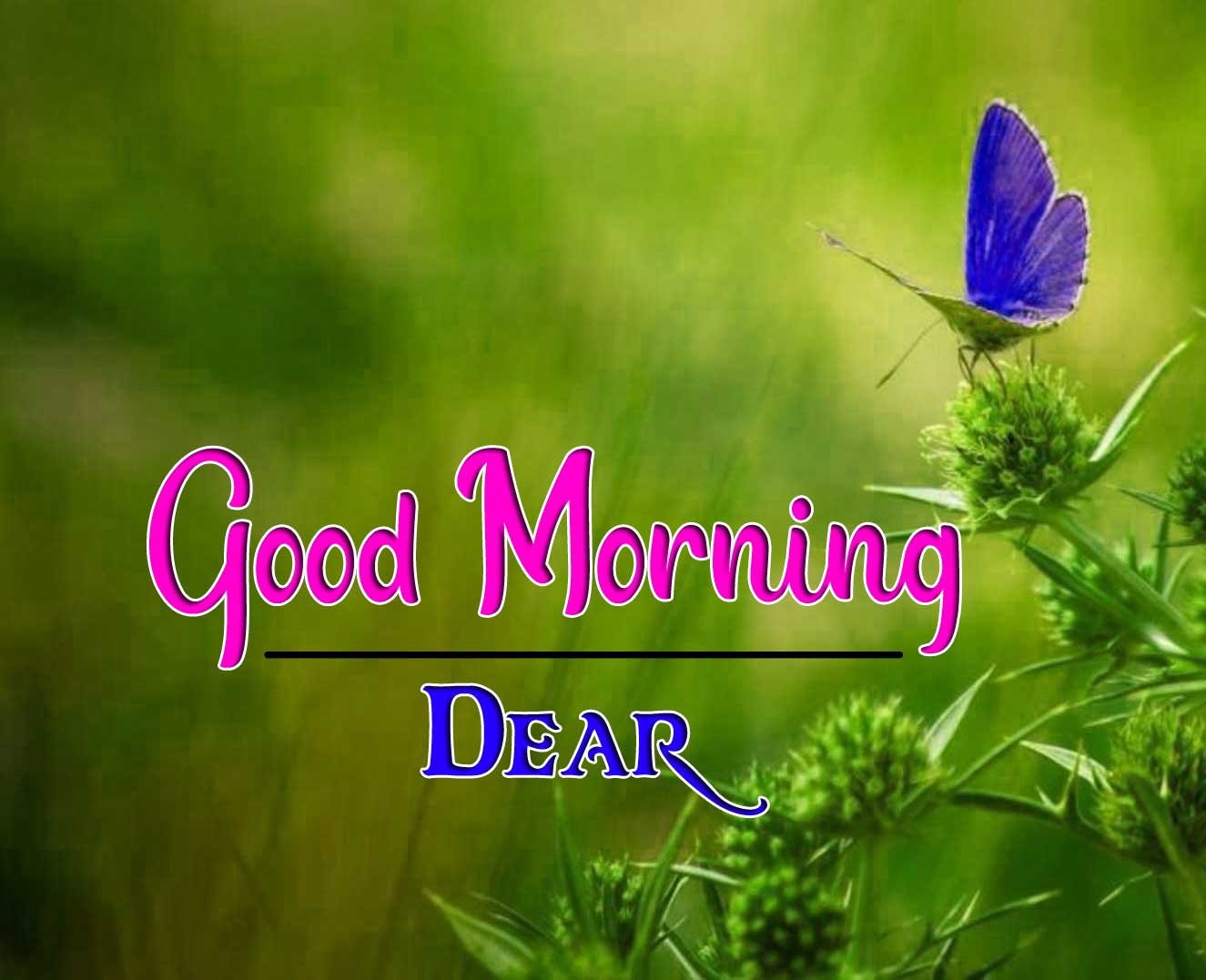good morning wishes to wife Wallpaper pics Download 