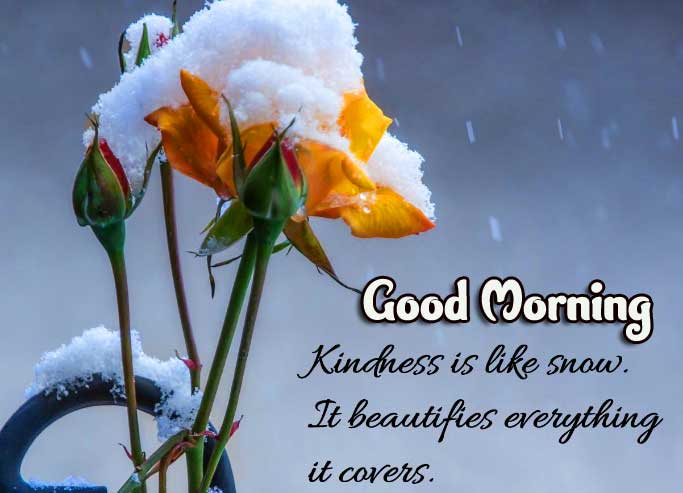 English Thought Good Morning Images Pics For Facebook