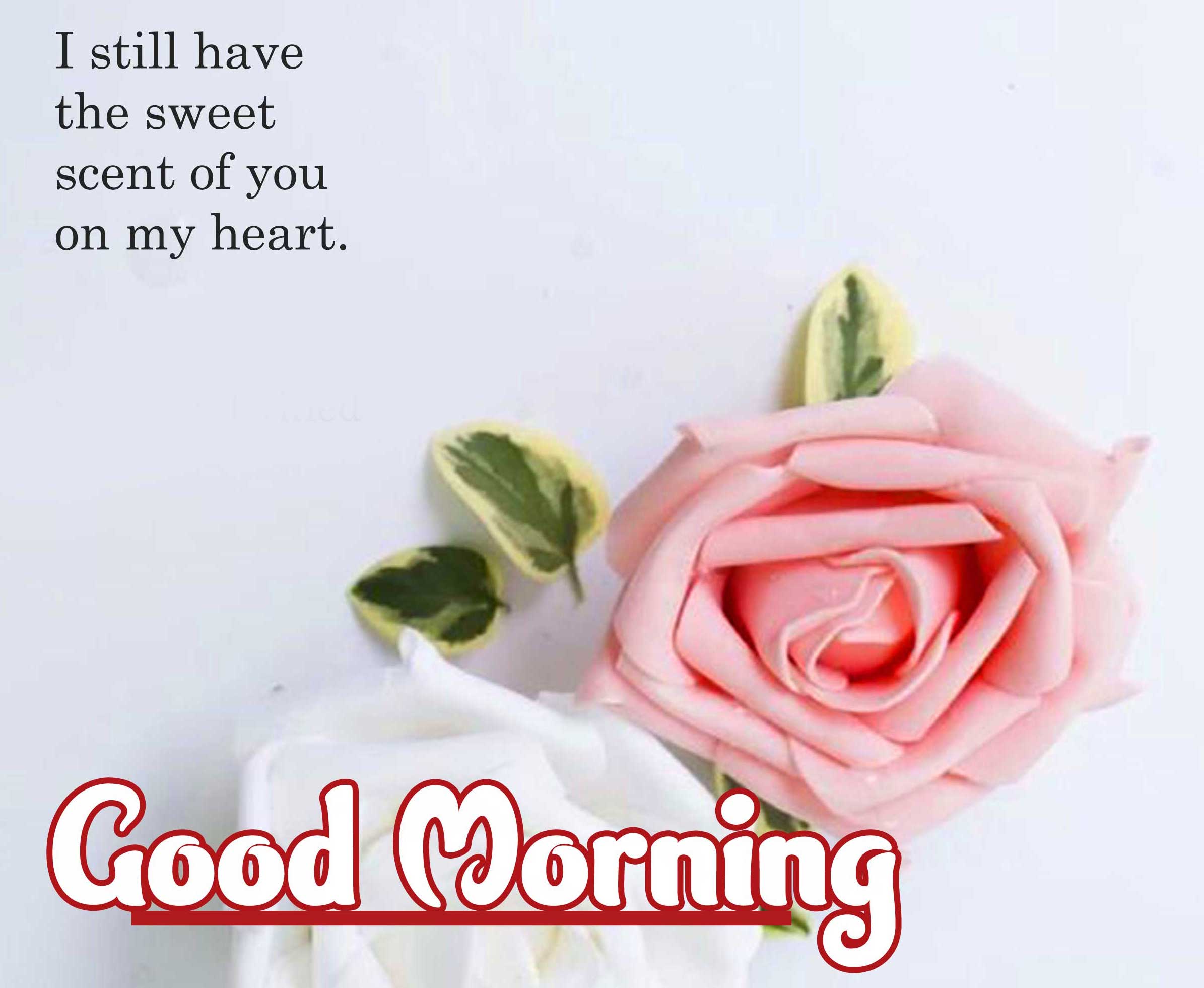 English Thought Good Morning Images Wallpaper Free Download 
