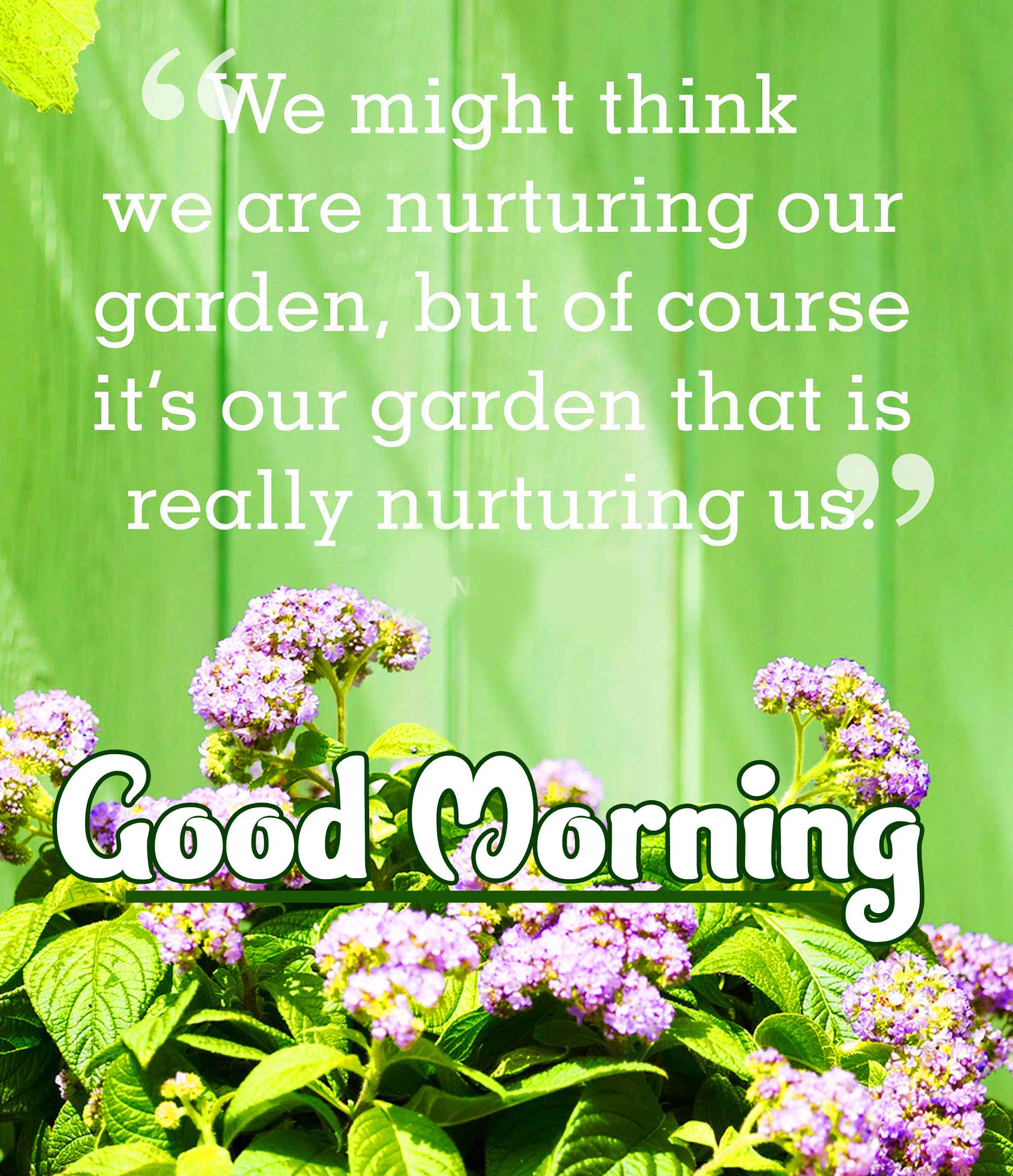 Good Morning Images with English Thought Wallpaper free Download 