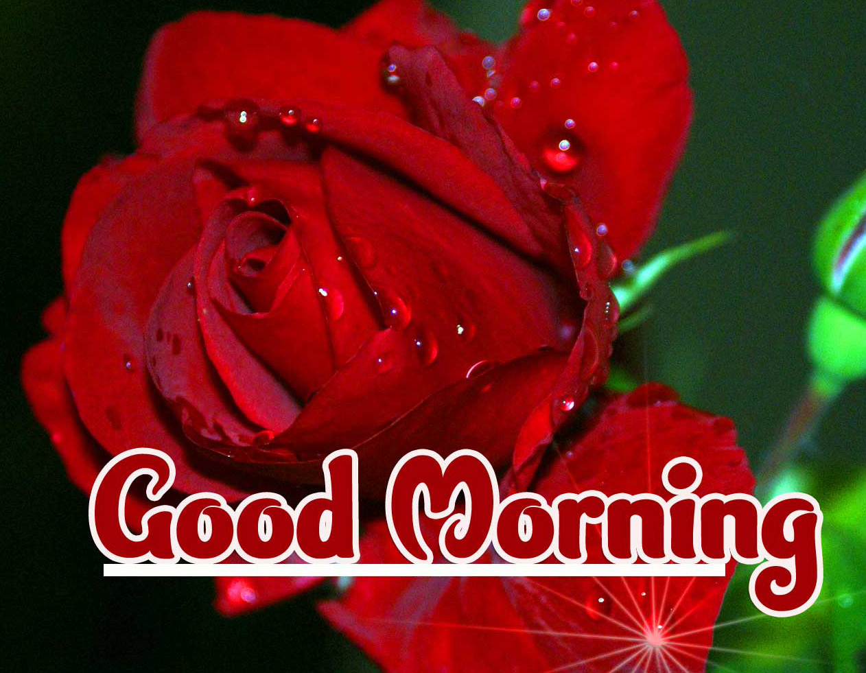 1080p Good Morning Images Pics Download 