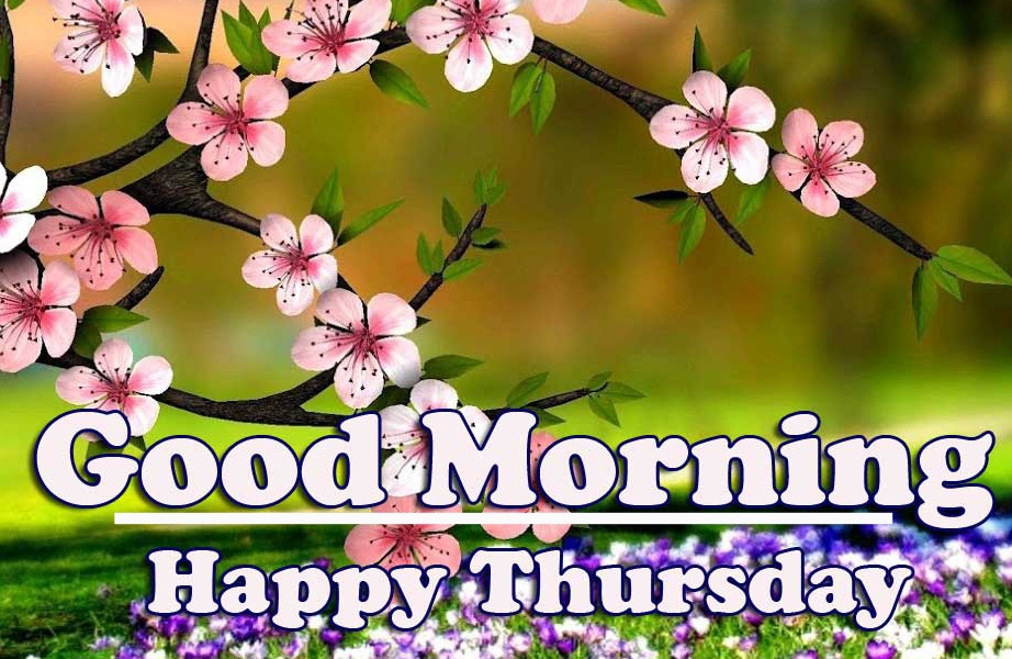 Good Morning Thursday Images Pics Wallpaper Free Download 