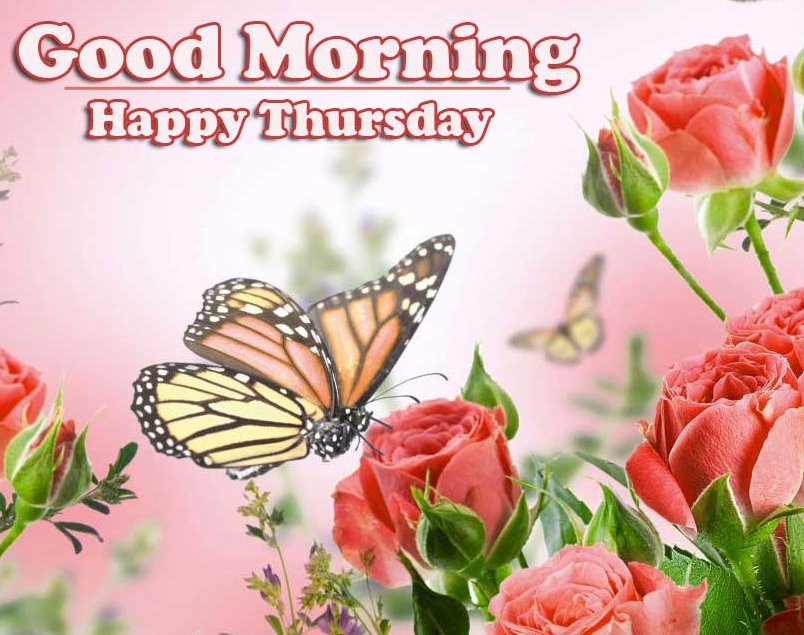 Good Morning Thursday Images Pics Free New Download 