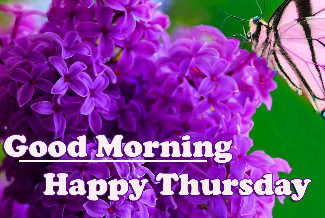 New Free Good Morning Thursday Images Pics Download 