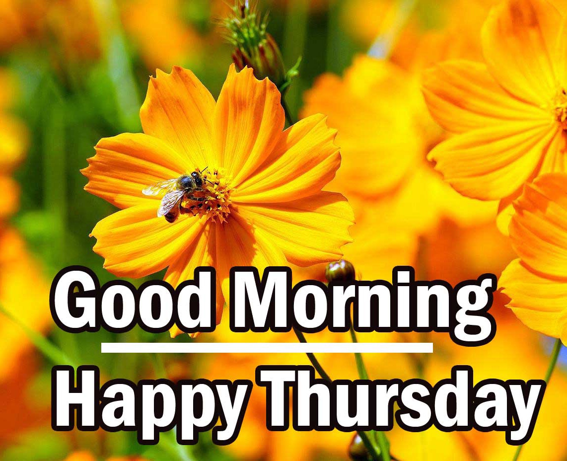 Good Morning Thursday Images Photo for Facebook