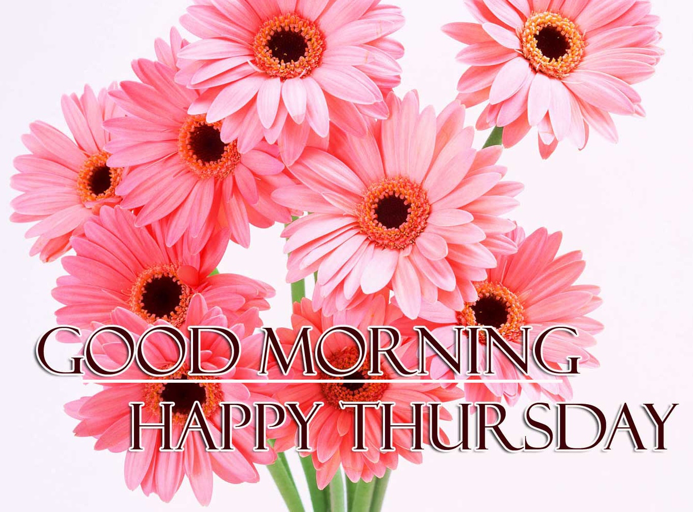 Good Morning Thursday Images Photo for Facebook