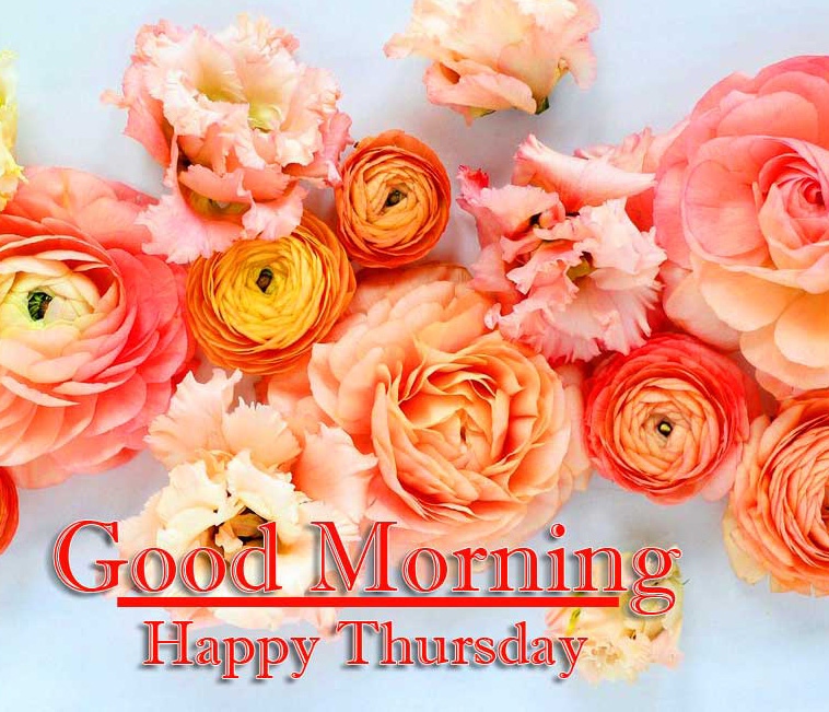 Good Morning Thursday Images Pics Free Download Latest 