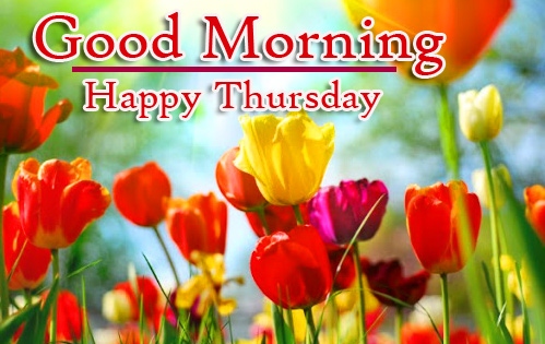 Beautiful Free Good Morning Thursday Images Pics Download 