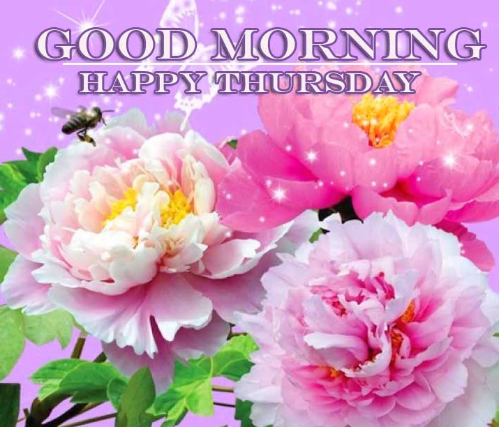 Good Morning Thursday Images Pics Wallpaper Free Download 
