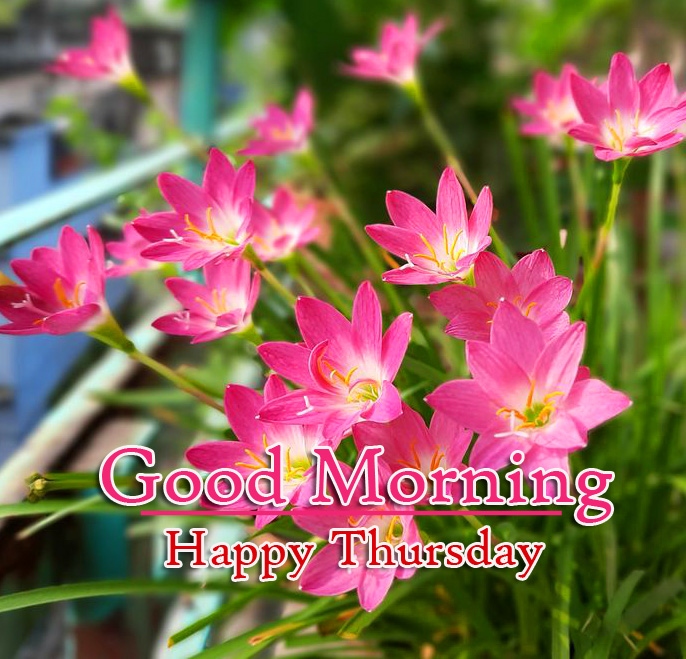 Good Morning Thursday Images Pics Free Download 