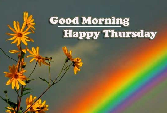 Good Morning Thursday Images Wallpaper New Download 