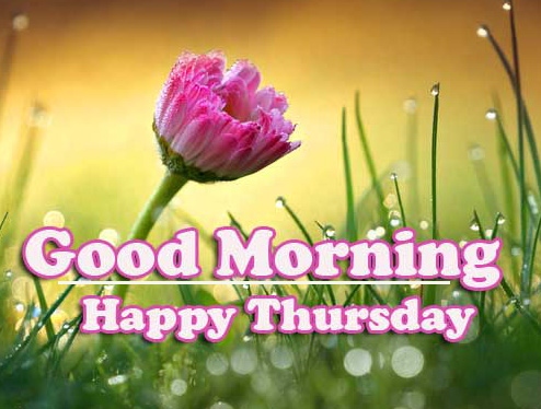 Good Morning Thursday Images Pics Free Download for Facebook 