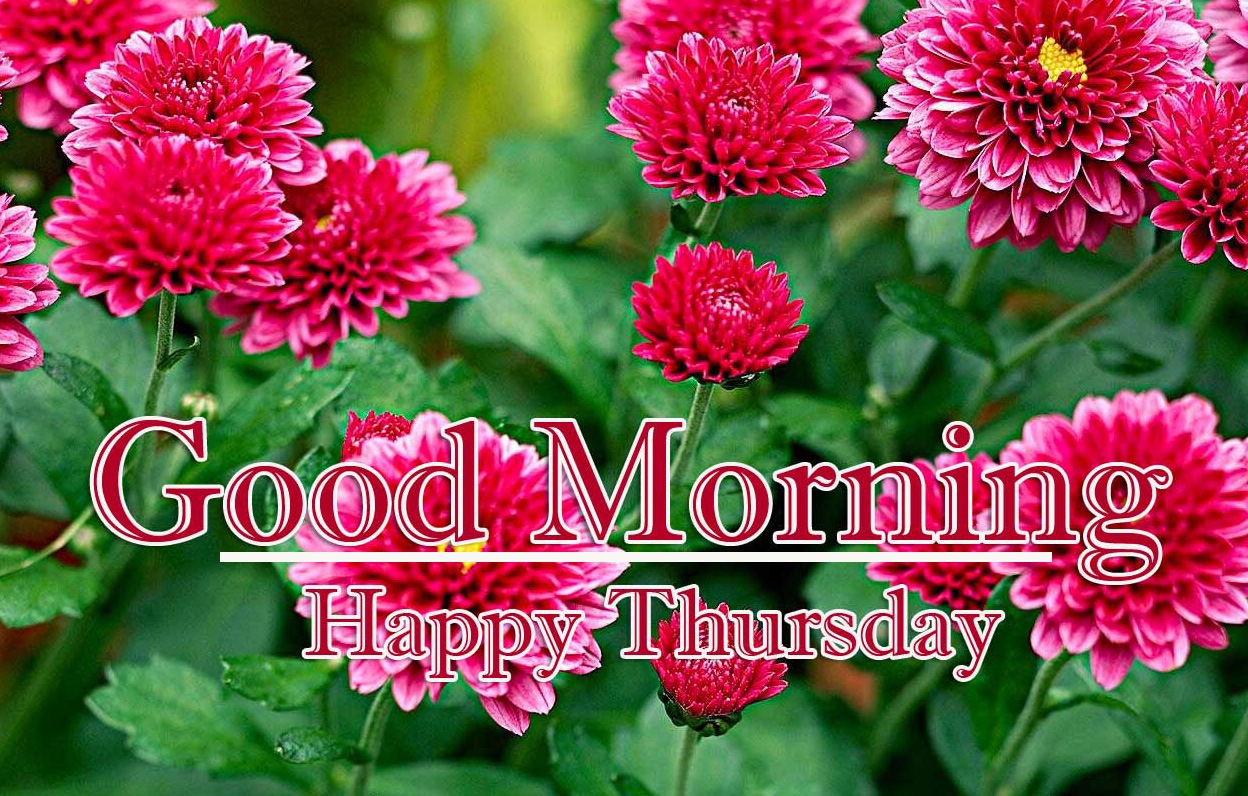 Good Morning Thursday Images Pics Free for Facebook 